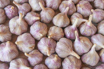 Fresh harvest of garlic on wooden table. Organic food concept. Food background
