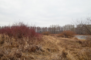 Yellow landscape in autumn cloudy day with field full of dry grass and road