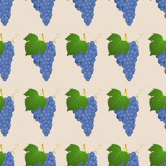 The branch of grapes. Blue grape. Vine branch with leaves. Seamless pattern. Vector illustration