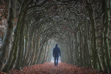 A man walking in a tunnel of trees on a hazy day in autumn.