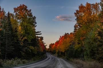 A Beautiful Mountain Road in Autumn