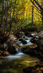 Obraz premium A Beautiful Mountain Stream in Autumn