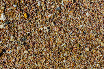 Texture of the wet sand for background