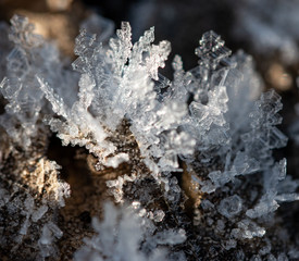 transparent ice crystals on a dark background