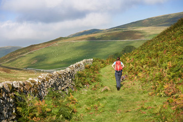 A female hiker walking through the countryside of Coquetdale in Northumberland, England.