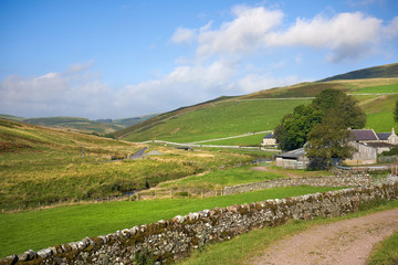 Fototapeta na wymiar Farm buildings amongst the hills of Coquetdale countryside in Northumberland, England.
