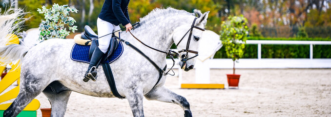Horse and rider in uniform. Beautiful white horse portrait during Equestrian sport show jumping...