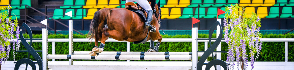 Horse and rider in uniform performing jump at show jumping competition. Horse horizontal banner for website header design. Equestrian sport background. Selective focus.