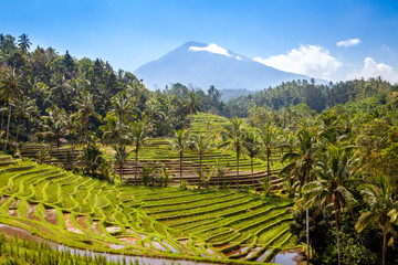 scenic view of balinese rice terraces and volcano in bali indonesia - obrazy, fototapety, plakaty