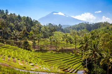 Gardinen scenic view of balinese rice terraces and volcano in bali indonesia © sculpies