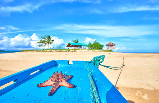 Starfish on a Boat at Coab Island of East Palawan - Philippines. Tiny litle island next to City of Roxas.