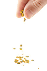 Fish flakes fall from the hands. Aquarium fish feed - flakes. Isolated on white. A man feeds fish. Fingers with fish flakes.