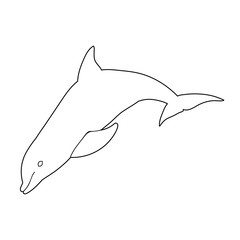 Obraz premium vector, isolated, dolphin outline, line, icon