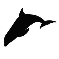 vector, isolated, silhouette of a dolphin