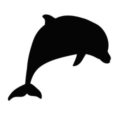 Fototapeta premium isolated, silhouette of a dolphin
