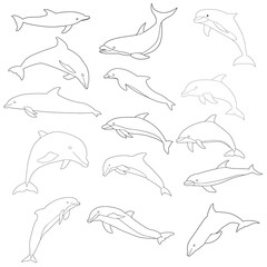 vector, isolated, dolphin outline, line, icon, set