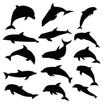 vector, isolated, dolphin silhouette, set