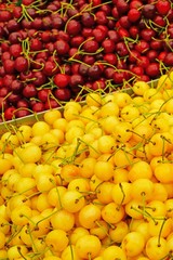 Fresh red and yellow cherries at a farmers market
