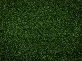 Obraz premium Green lawn texture background for design