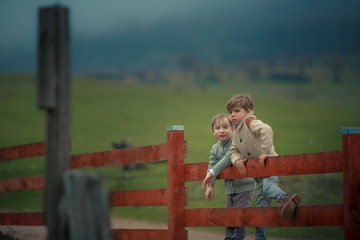 Fototapeta na wymiar Two brothers of the boy sit on a ranch on a wooden fence against a green field.