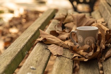 .fall leaf and coffee on bench . autumn concept