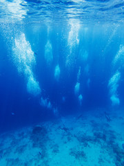 Fototapeta na wymiar group of scuba divers swimming under water. summer background