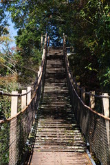 Fototapeta premium 階段式吊り橋