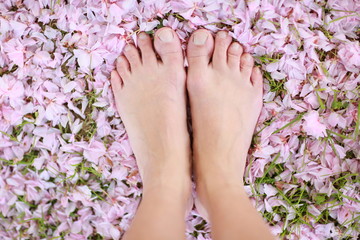 Obraz na płótnie Canvas Human legs close up on pink flower petals background.