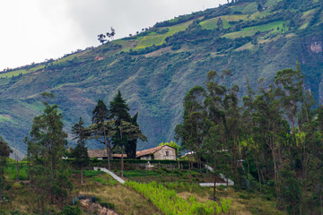 A small home and garder in Ecaudor countryside near Ibarra, Ecuador.  Travel and landscaptes.