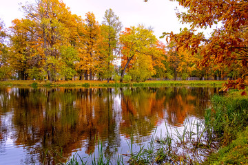 in the autumn Park trees with colorful foliage are reflected in the water