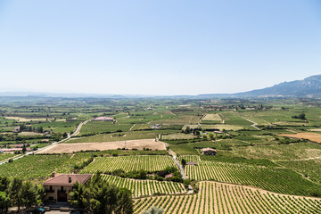 Fototapeta na wymiar Laguardia, Spain. Landscape with vineyards in a mountain valley