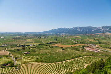 Fototapeta na wymiar Laguardia, Spain. Scenic landscape: vineyards in a mountain valley