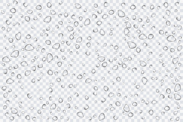Water drops, rain splashes isolated on transparent background. Realistic for your design. Vector illustration EPS 10.