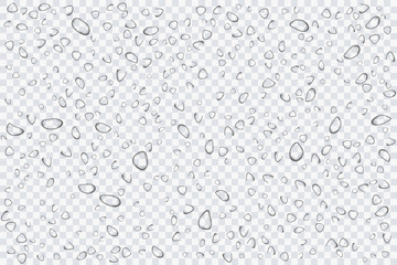 Water drops, rain splashes isolated on transparent background. Realistic for your design. Vector illustration EPS 10.