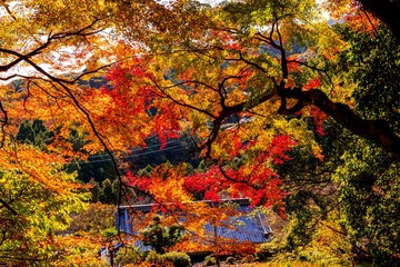 岩戸寺の紅葉