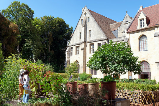 Botanical garden  in Royaumont park