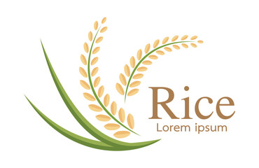 grain organic natural product ,rice icon,vector design