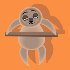 funny sloth in different poses isolated on white background