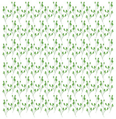 green decoration leaves branches foliage background