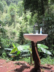 Bathroom in the jungle