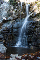 Out in the Woods #32