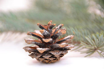 christmas pine cone