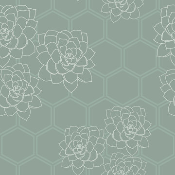 Vector Green Succulent Flower Hexagon Background Seamless Pattern Print