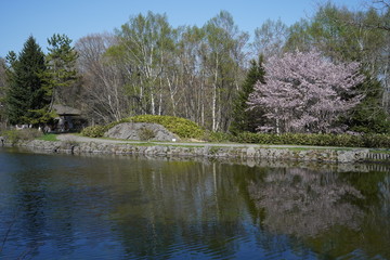 Lake with cherry blossom