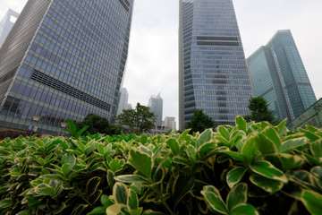 CBD Scenery of Shanghai Lujiazui, Shanghai, China