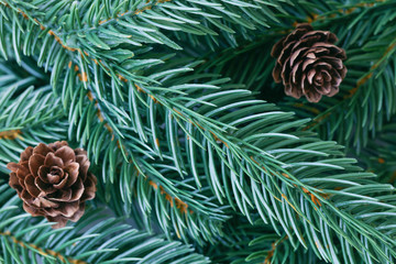 Christmas decoration background with pine leaves, pine cones in top view flat lay with copy space for fill text. Christmas tree wallpaper for card or other design in xmas concept.