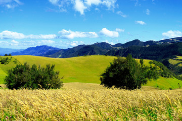 summer landscape with mountains and blue sky
