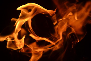 Flames arising from Wood