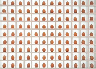 Wooden wall decorated with chicken eggs.