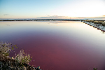 Nature reserve Saline Margherita di Savoia, Apulia, Italy: The salt pan. Salt flats area for sea salt production. Coastal ecosystem on Adriatic sea. Red waters colored by alga Dunaliella salina